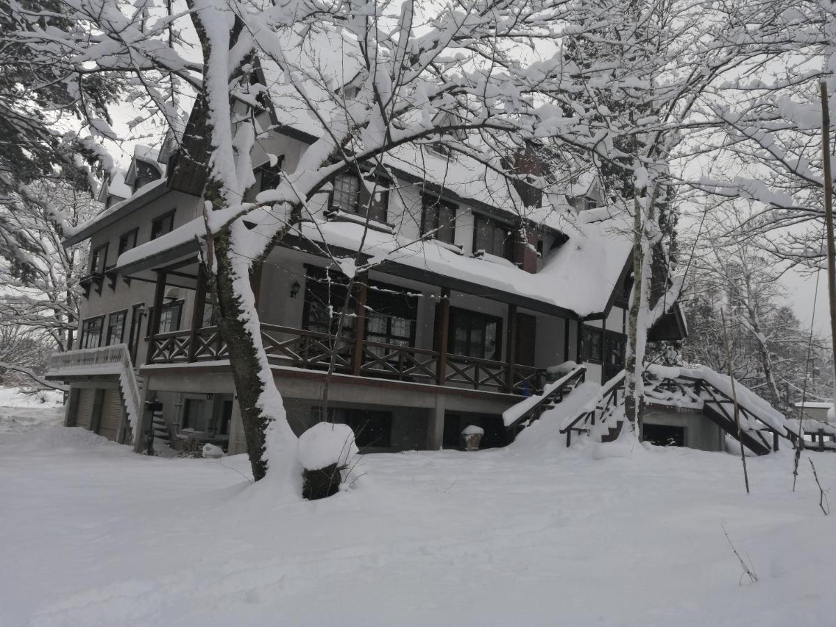 Pilot Lodge Hakuba Eksteriør bilde
